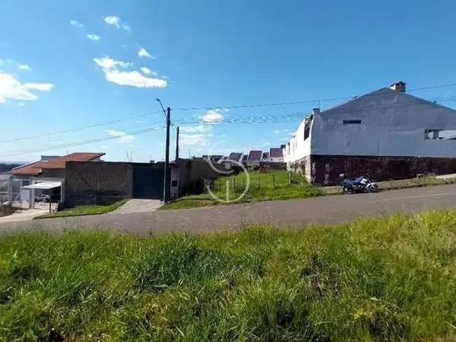 Terreno / Lote para Venda em Sapucaia do Sul/RS Vargas