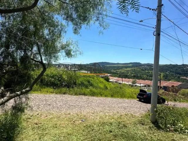 Terreno / Lote para Venda em Sapucaia do Sul/RS Vargas