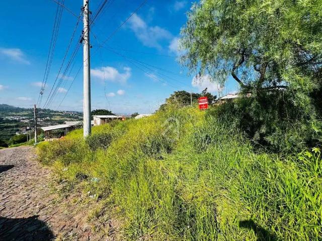 Terreno / Lote para Venda em Sapucaia do Sul/RS Vargas