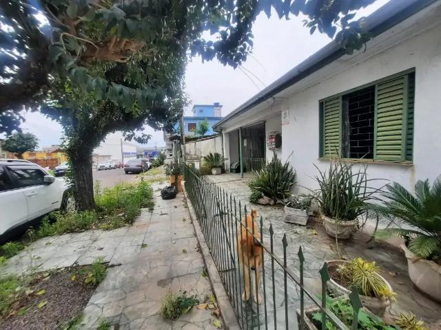 Terreno / Lote para Venda em Sapucaia do Sul/RS Camboim