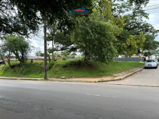 Terreno / Lote para Venda em Sapucaia do Sul/RS Camboim