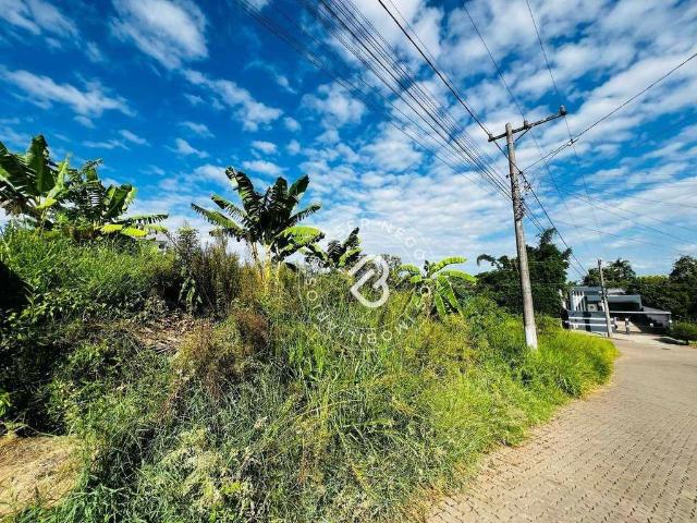 Terreno / Lote para Venda em Sapucaia do Sul/RS Encosta da Floresta