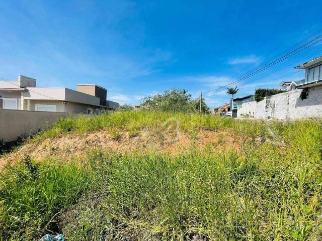 Terreno / Lote para Venda em Sapucaia do Sul/RS Jardim Anchieta
