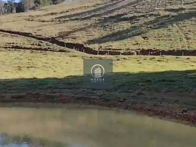 Terreno / Lote para Venda em Sapucaia/RJ Centro
