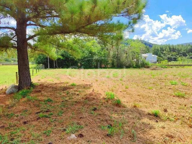 Terreno / Lote para Venda em Sapiranga/RS Centenário