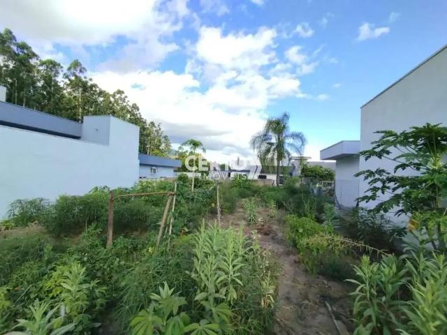 Terreno / Lote para Venda em Sapiranga/RS Centenário