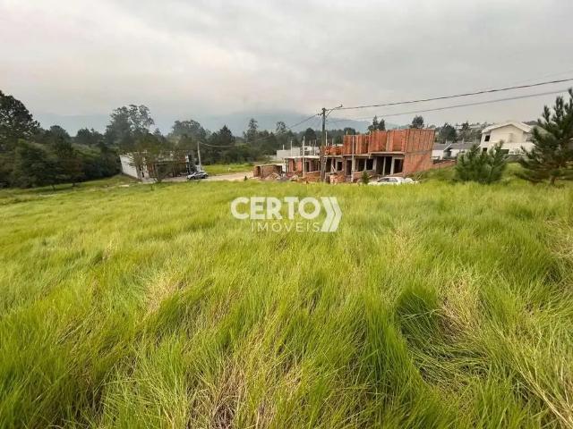 Terreno / Lote para Venda em Sapiranga/RS São Jacó