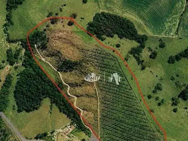 Terreno / Lote para Venda em Sapopema/PR Centro