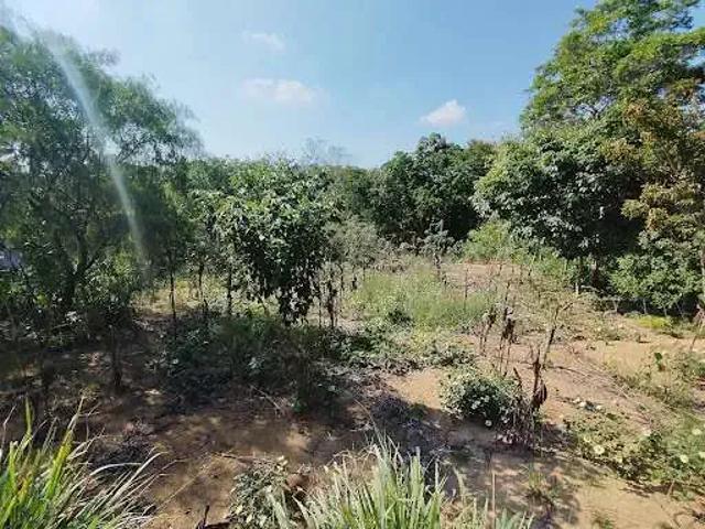 Terreno / Lote para Venda em Saquarema/RJ Bonsucesso Bacaxá