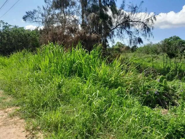 Terreno / Lote para Venda em Saquarema/RJ Jardim Ipitangas
