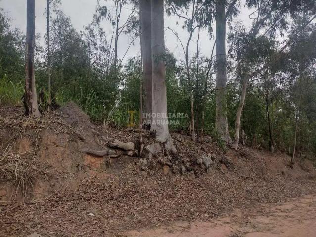 Terreno / Lote para Venda em Saquarema/RJ Jardim Ipitangas