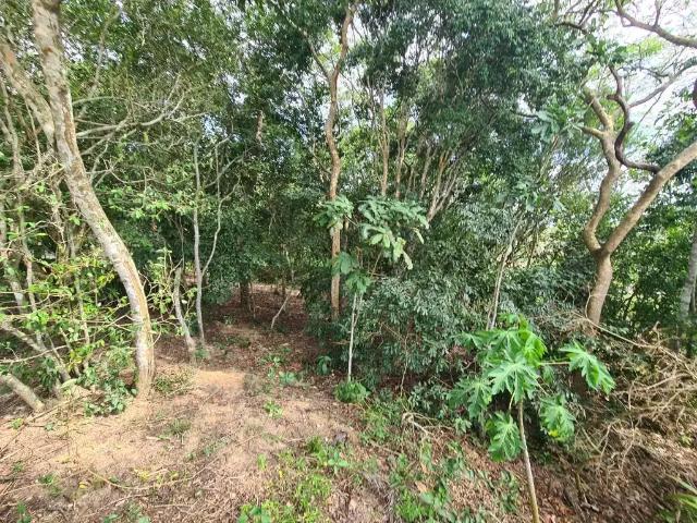 Terreno / Lote para Venda em Saquarema/RJ Leigos