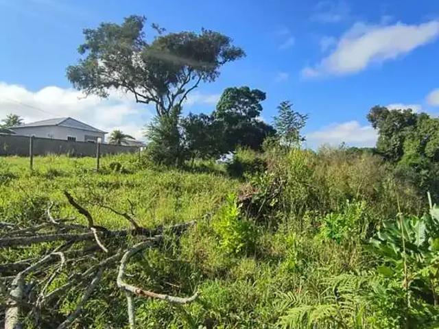 Terreno / Lote para Venda em Saquarema/RJ Porto da Roça I