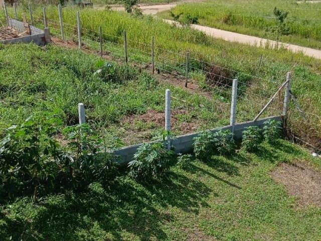 Terreno / Lote para Venda em Saquarema/RJ Sampaio Correia Sampaio Correia