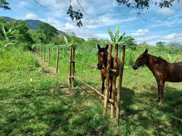 Terreno / Lote para Venda em Saquarema/RJ Serra de Mato Grosso Sampaio Correia