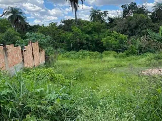 Terreno / Lote para Venda em Sarzedo/MG Jardim Anchieta 1 Quartos