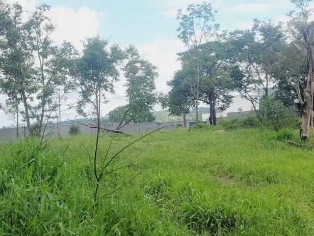Terreno / Lote para Venda em Sarzedo/MG Jardim Anchieta 1 Quartos
