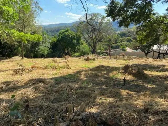 Terreno / Lote para Venda em Sarzedo/MG Jardim Anchieta 1 Quartos