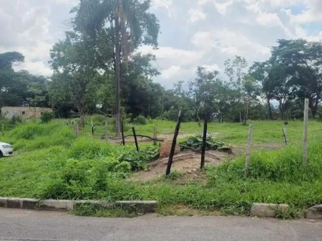 Terreno / Lote para Venda em Sarzedo/MG Jardim Anchieta 1 Quartos