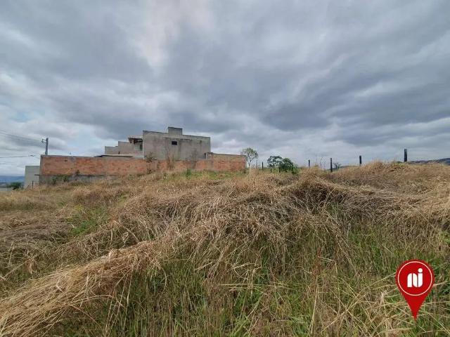 Terreno / Lote para Venda em Sarzedo/MG Jardim Vera Cruz