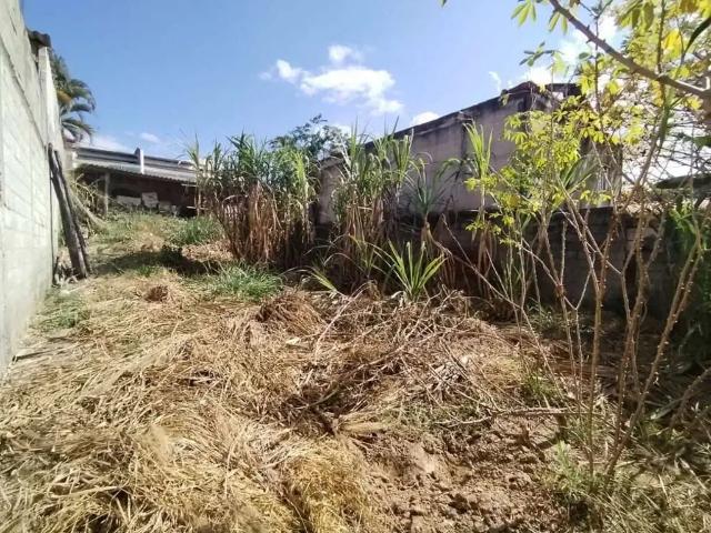 Terreno / Lote para Venda em Sarzedo/MG Santa Rosa 1 Quartos