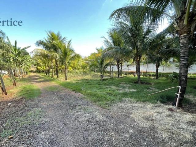 Terreno / Lote para Venda em Sarandi/PR Jardim Nova Independência