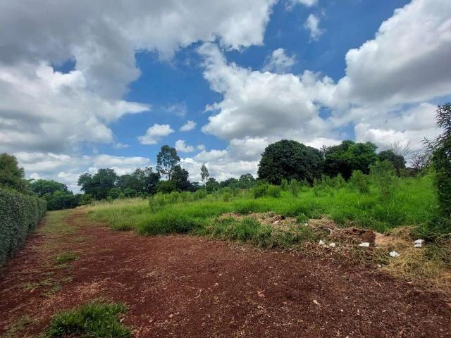 Terreno / Lote para Venda em Sarandi/PR Jardim das Torres