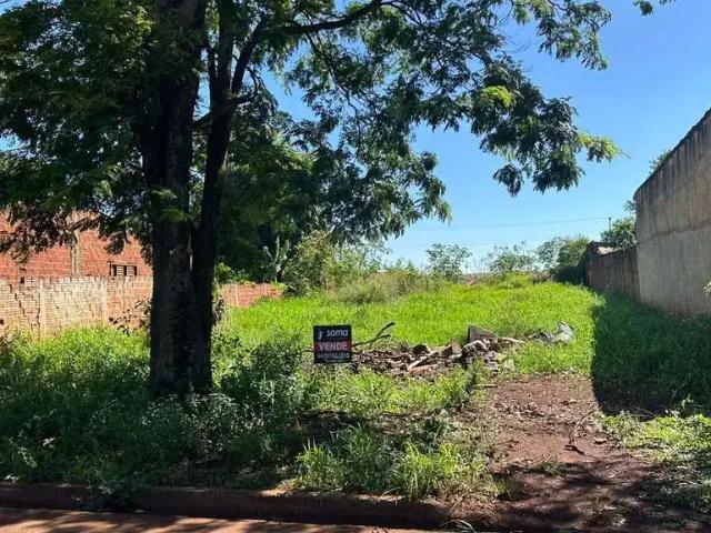 Terreno / Lote para Venda em Sarandi/PR Jardim das Torres