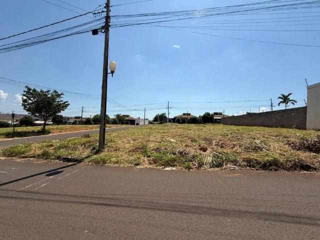 Terreno / Lote para Venda em Sarandi/PR Jardim França
