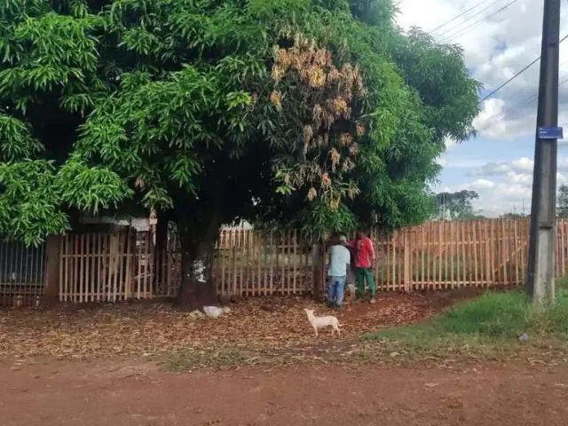 Terreno / Lote para Venda em Sarandi/PR Jardim Independência