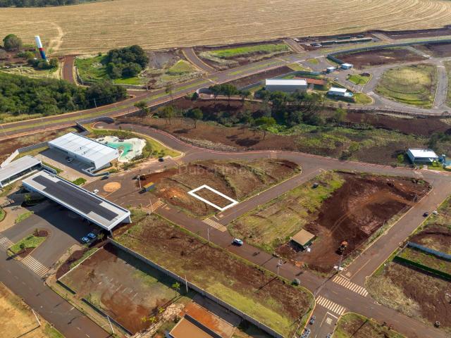 Terreno / Lote para Venda em Sarandi/PR Jardim Paraíso