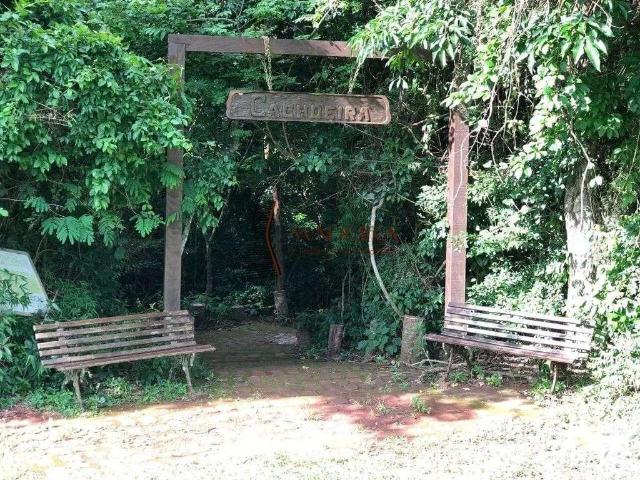 Terreno / Lote para Venda em Sarandi/PR Parque Alvamar