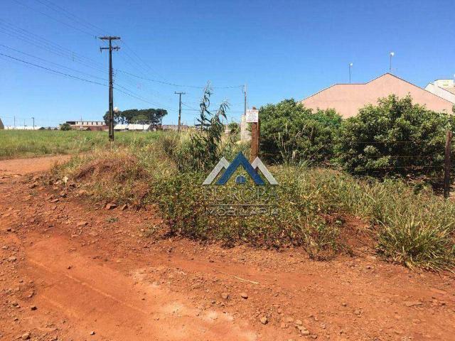 Terreno / Lote para Venda em Sarandi/PR Parque Industrial