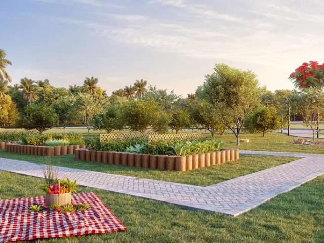 Terreno / Lote para Venda em Senador Canedo/GO Jardins Turim