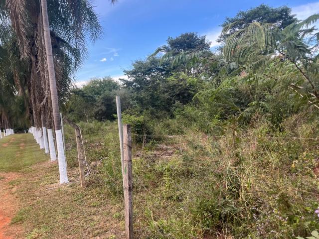 Terreno / Lote para Venda em Senador Canedo/GO Setor Vargem Bonita