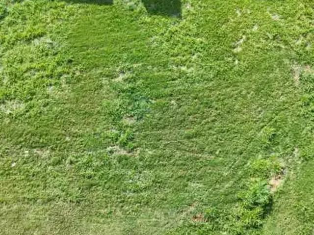 Terreno / Lote para Venda em Sertãozinho/SP Jardim Bothânico