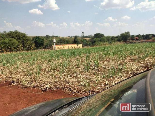Terreno / Lote para Venda em Sertãozinho/SP Zona Industrial