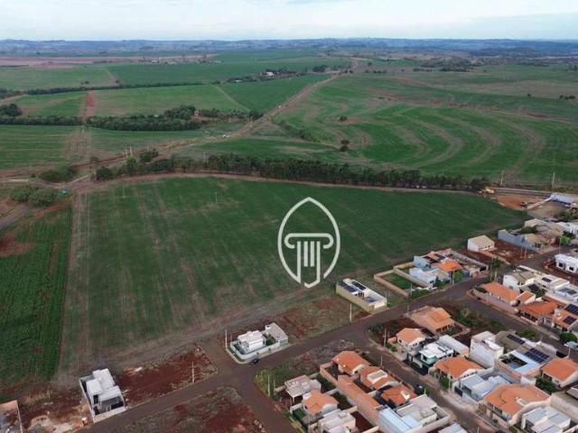 Terreno / Lote para Venda em Sertaneja/PR Zona Rural