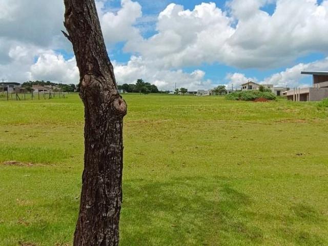Terreno / Lote para Venda em Sertanópolis/PR Centro