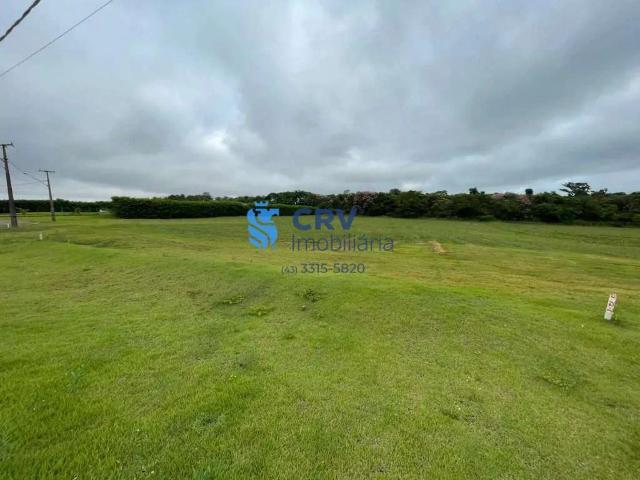 Terreno / Lote para Venda em Sertanópolis/PR Centro
