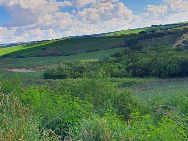Terreno / Lote para Venda em Sertanópolis/PR Centro