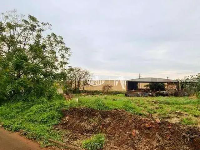 Terreno / Lote para Venda em Sertanópolis/PR Jardim Maria Casagrande Favoreto