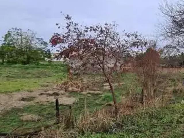 Terreno / Lote para Venda em Sertanópolis/PR Jardim Maria Casagrande Favoreto