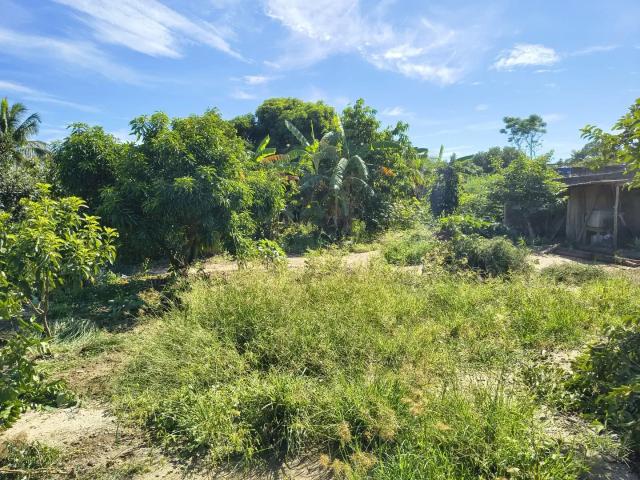 Terreno / Lote para Venda em Seropédica/RJ Campo Lindo