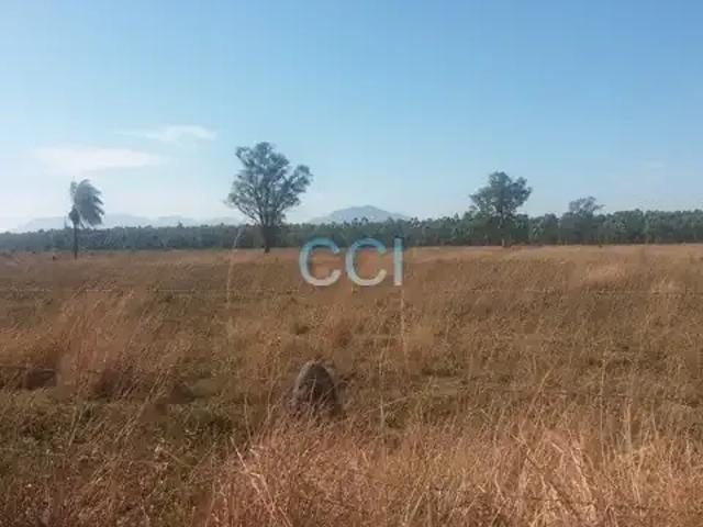 Terreno / Lote para Venda em Seropédica/RJ Campo Lindo
