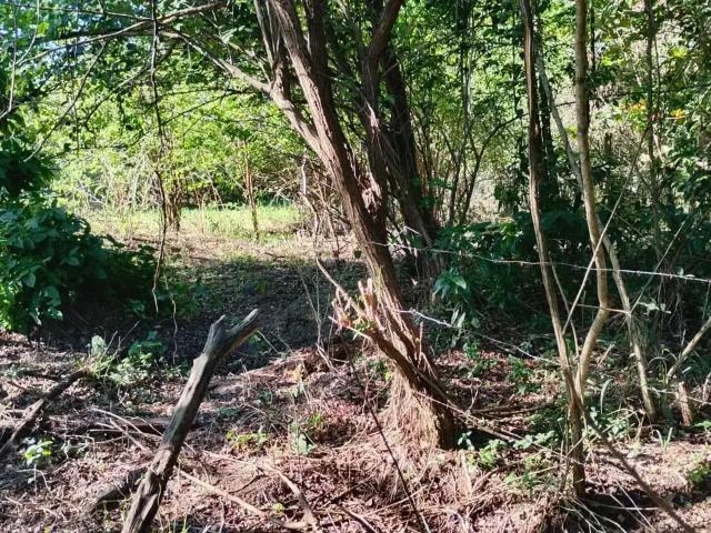 Terreno / Lote para Venda em Seropédica/RJ Campo Lindo