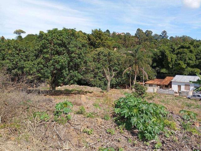 Terreno / Lote para Venda em Serra Negra/SP Jardim Parque da Palmeiras