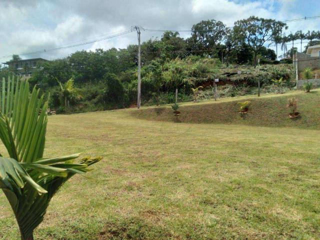 Terreno / Lote para Venda em Serra Negra/SP Jardim Parque da Palmeiras