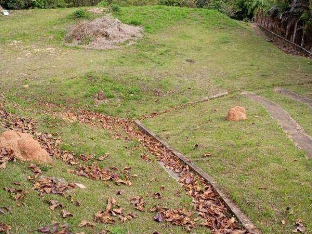 Terreno / Lote para Venda em Serra Negra/SP Jardim Parque da Palmeiras