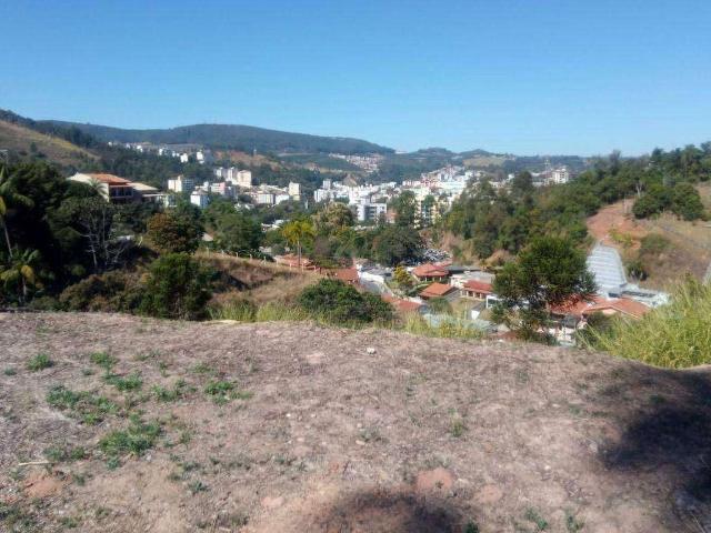 Terreno / Lote para Venda em Serra Negra/SP Palmeiras